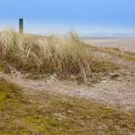 Ecohome Zilt - 8 Pers - Zeezand Recreatie *