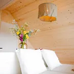 Hébergement de vacances Ecohome Zilt - 8 Pers - Zeezand Recreatie