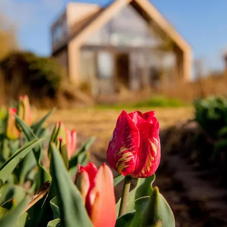 Ecohome Zilt - 8 Pers - Zeezand Recreatie *