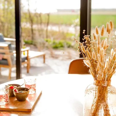 Ecohome Zilt - 8 Pers - Zeezand Recreatie * 't Zand