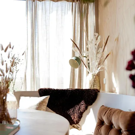 Dom wakacyjny Ecohome Zilt - 8 Pers - Zeezand Recreatie *