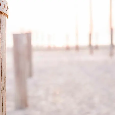 Ecohome Zilt - 8 Pers - Zeezand Recreatie * 't Zand