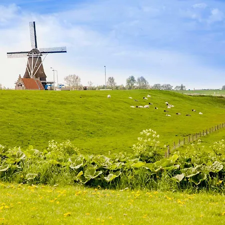 Vakantiehuis Ecohome Zilt - 8 Pers - Zeezand Recreatie 't Zand
