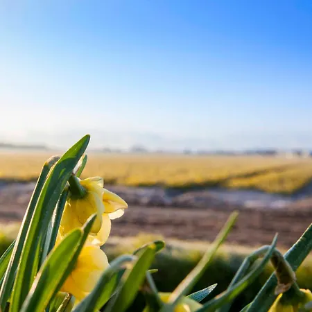 Ecohome Zilt - 8 Pers - Zeezand Recreatie