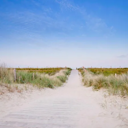 Ecohome Zilt - 8 Pers - Zeezand Recreatie *