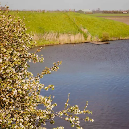 Vakantiehuis Ecohome Zilt - 8 Pers - Zeezand Recreatie *