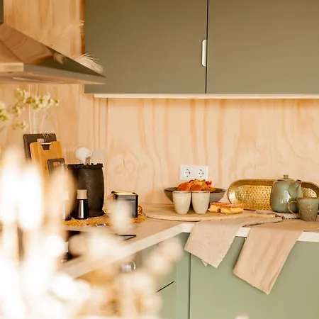 Ecohome Zilt - 8 Pers - Zeezand Recreatie * 't Zand