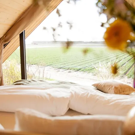 Ecohome Zilt - 8 Pers - Zeezand Recreatie * 't Zand