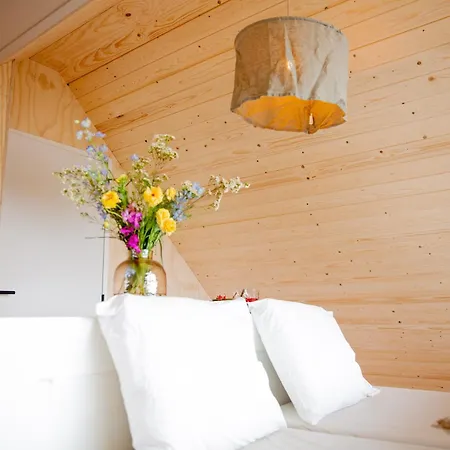 Holiday home Ecohome Zilt - 8 Pers - Zeezand Recreatie