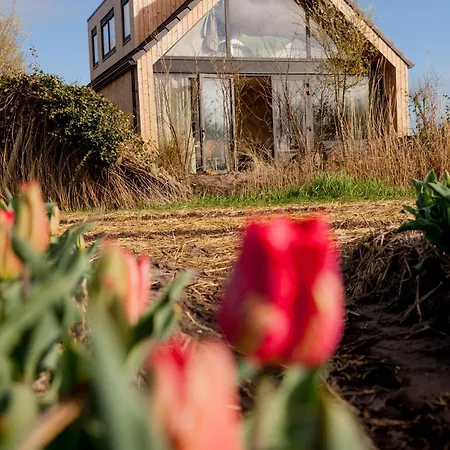 Dom wakacyjny Ecohome Zilt - 8 Pers - Zeezand Recreatie *