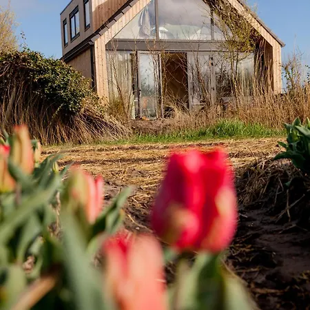 Holiday home Ecohome Zilt - 8 Pers - Zeezand Recreatie *