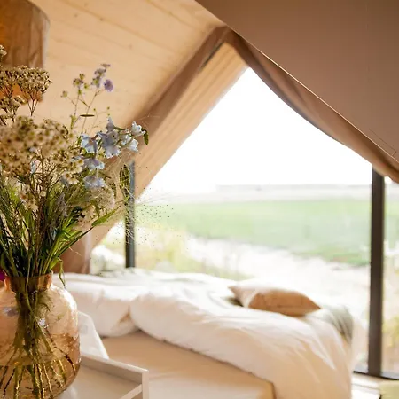 Ecohome Zilt - 8 Pers - Zeezand Recreatie