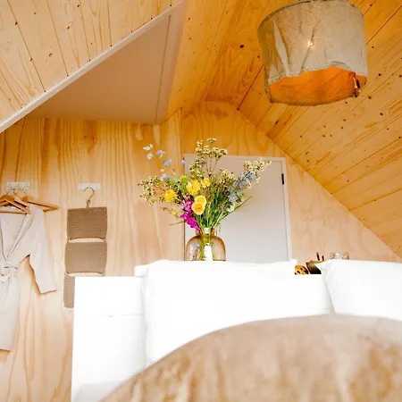 Ecohome Zilt - 8 Pers - Zeezand Recreatie Dom wakacyjny *