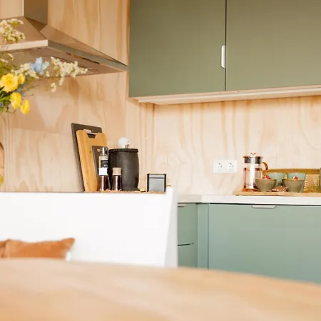 Tatil Evi Ecohome Zilt - 8 Pers - Zeezand Recreatie *