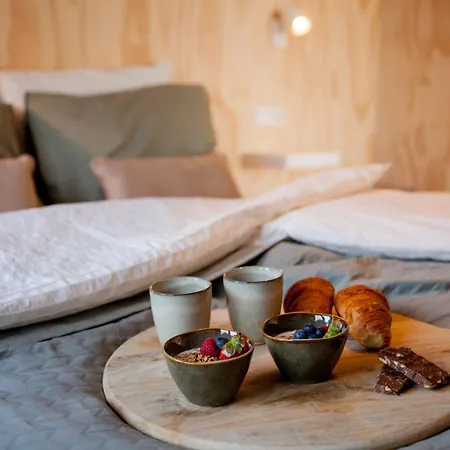 Ecohome Zilt - 8 Pers - Zeezand Recreatie 't Zand