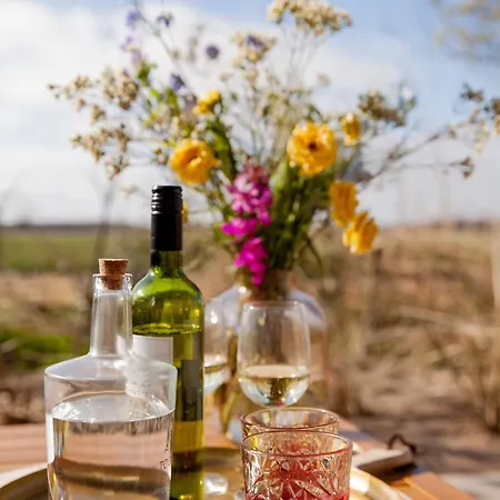 Dom wakacyjny Ecohome Zilt - 8 Pers - Zeezand Recreatie 't Zand