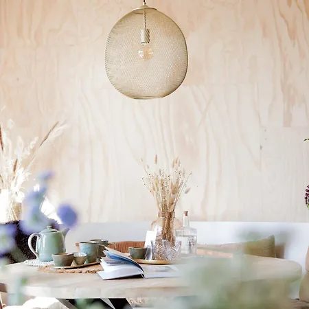 Ecohome Zilt - 8 Pers - Zeezand Recreatie *