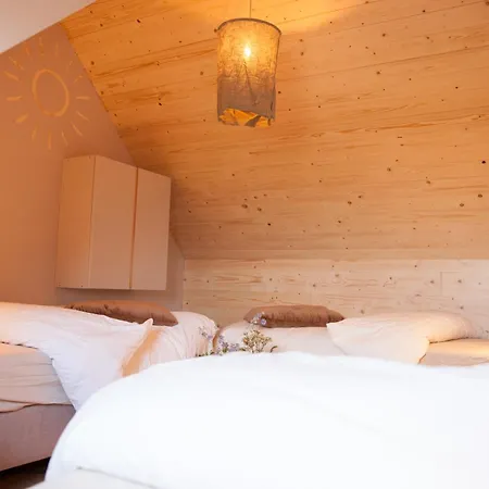 Ecohome Zilt - 8 Pers - Zeezand Recreatie Dom wakacyjny