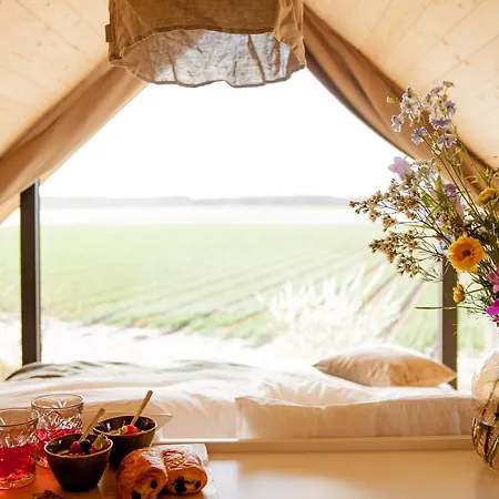 Tatil Evi Ecohome Zilt - 8 Pers - Zeezand Recreatie *