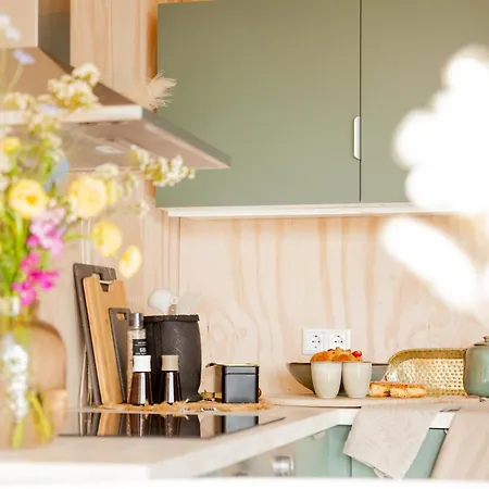 Vakantiehuis Ecohome Zilt - 8 Pers - Zeezand Recreatie 't Zand