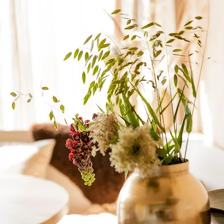 Dom wakacyjny Ecohome Zilt - 8 Pers - Zeezand Recreatie