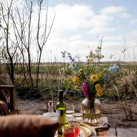 Holiday home Ecohome Zilt - 8 Pers - Zeezand Recreatie *