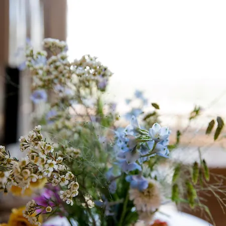 Ecohome Zilt - 8 Pers - Zeezand Recreatie 't Zand