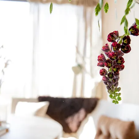 Dom wakacyjny Ecohome Zilt - 8 Pers - Zeezand Recreatie 't Zand