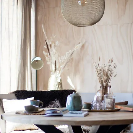 Dom wakacyjny Ecohome Zilt - 8 Pers - Zeezand Recreatie