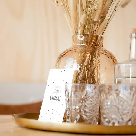 Ecohome Zilt - 8 Pers - Zeezand Recreatie